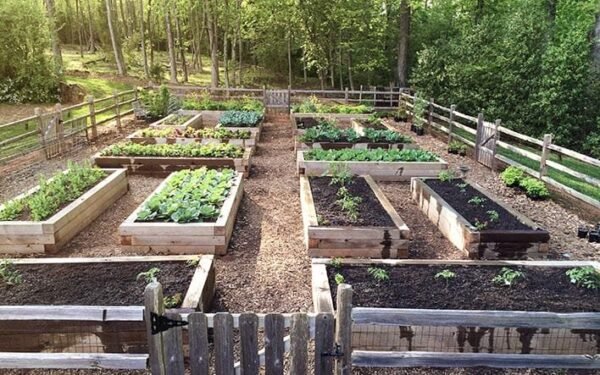 Can AI Plan Your Garden Based on Your Location?