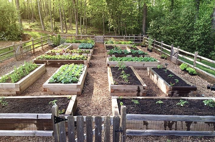 Can AI Plan Your Garden Based on Your Location?