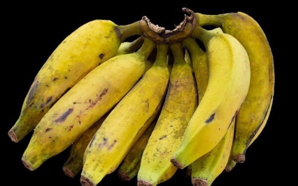 How to Keep Bananas Fresh for Two Weeks (Really)