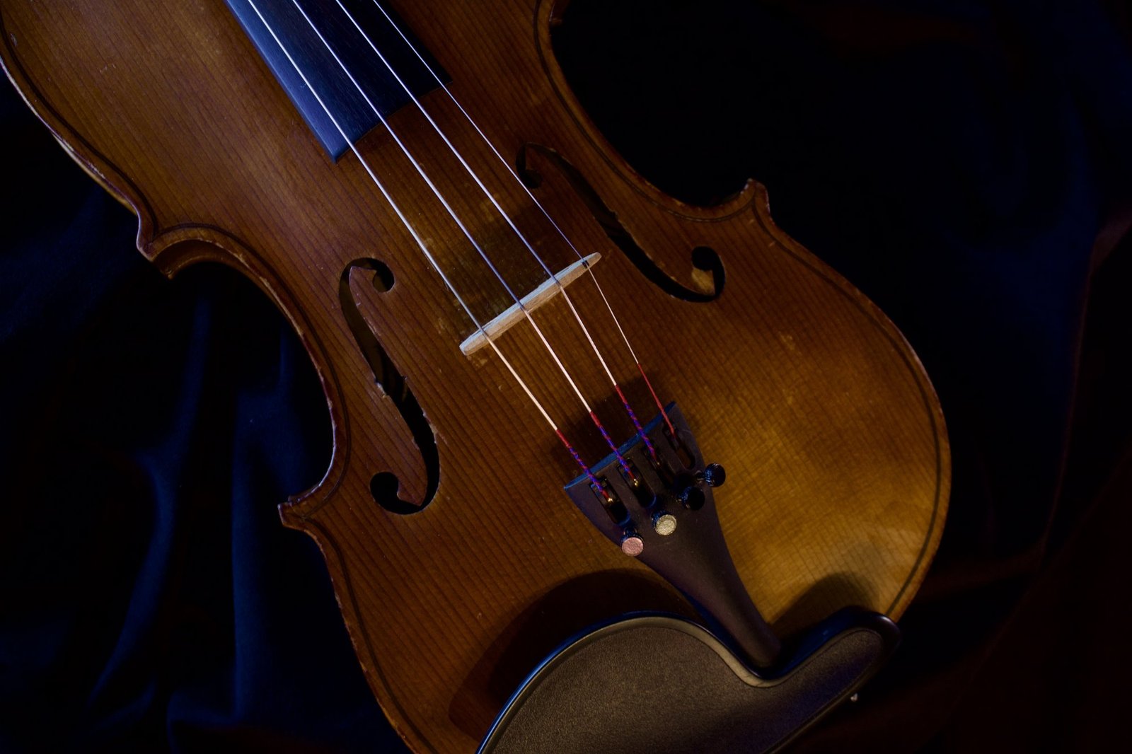 How Much does a Violin Cost? Average Price Guide (2026)