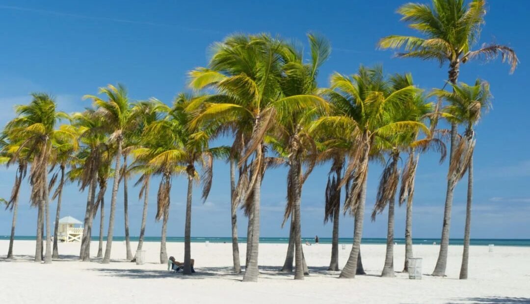 The Best Time of Year to Visit Florida