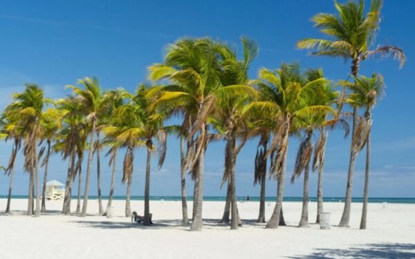 The Best Time of Year to Visit Florida