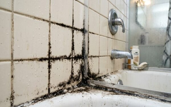 What to Do About Mold in Your Bathroom