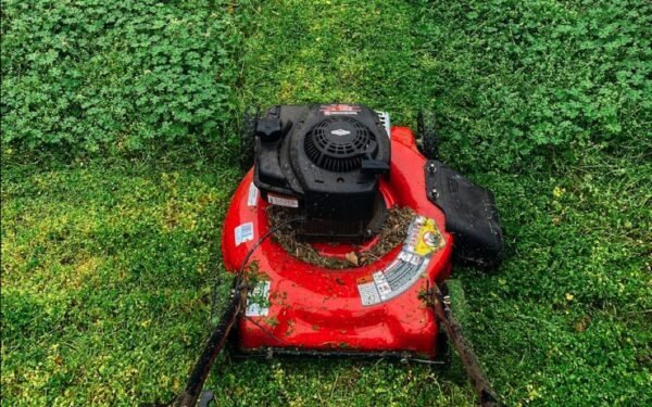 What to Look for When Buying a Used Lawn Mower